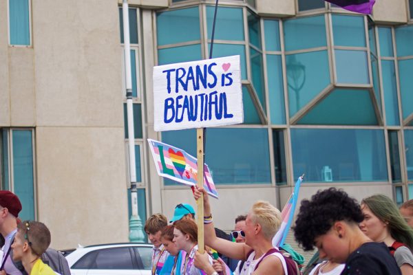 Trans is Beautiful 2019 by Sharon Kilgannon