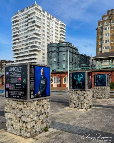 UNCUT-install-byChrisJepsonIMG_3993