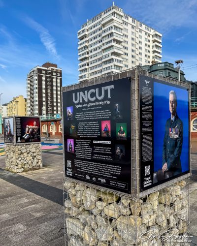 UNCUT-install-byChrisJepsonIMG_3994