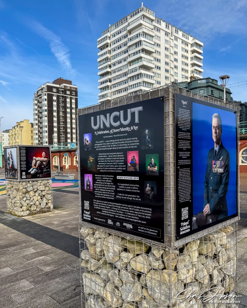 UNCUT-install-byChrisJepsonIMG_3994